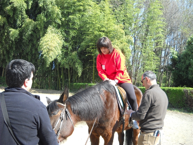 LAURA SELLITTO A CAVALLO